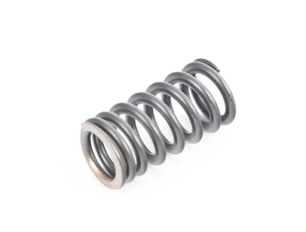 06E109623AH - Audi R8 Spyder 42 Engine Valve Spring 06E109623AH NEW ORIGINAL