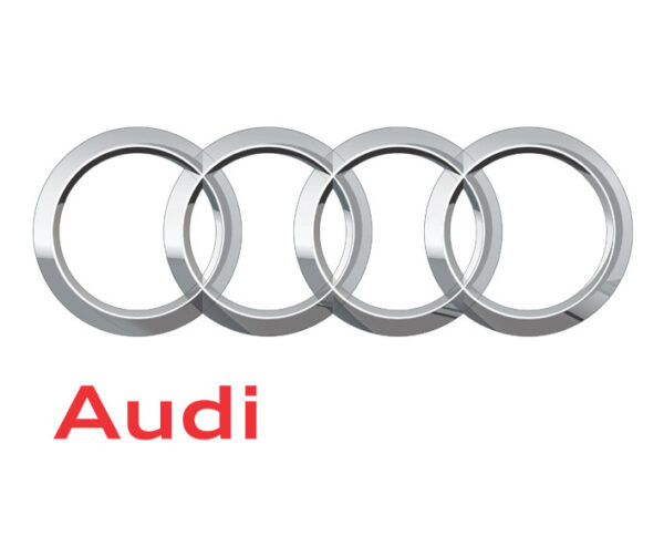 420103485E - New Audi R8 42 Engine Oil Filler Cap 420103485E Genuine