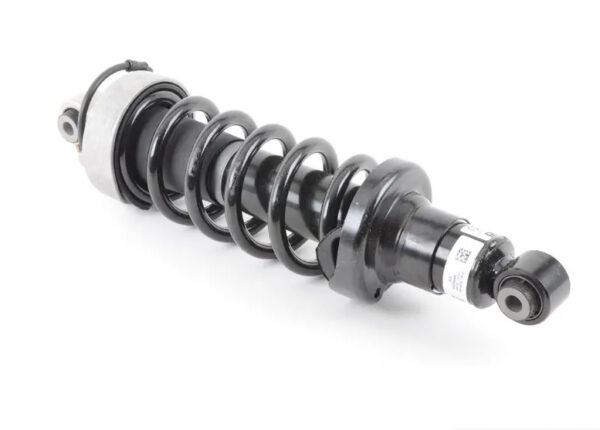 420512020AJ - Audi R8 Spyder 42 rear right shock absorbers 4205120AJ NEW ORIGINAL