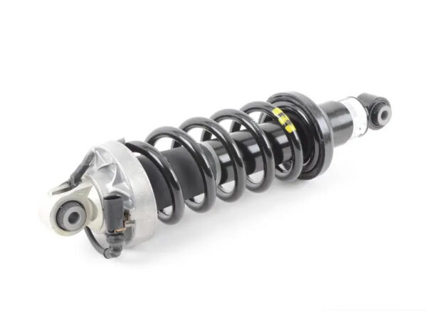 420512020AJ - Audi R8 Spyder 42 rear right shock absorbers 4205120AJ NEW ORIGINAL