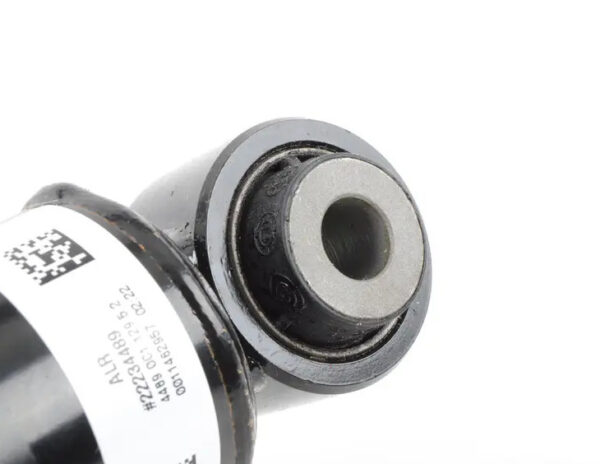 420512020AJ - Audi R8 Spyder 42 rear right shock absorbers 4205120AJ NEW ORIGINAL