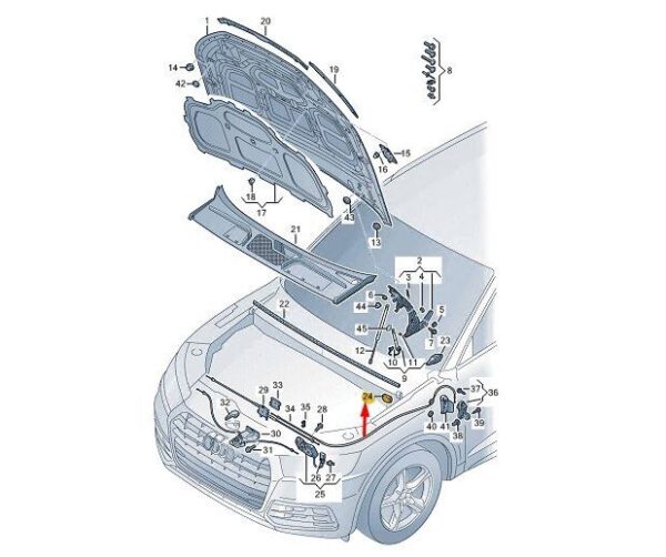 80A807252 - AUDI Q5 FY Bonnet Right Foam 80A807252 NEW GENUINE
