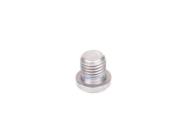 07119904550 - BMW E46 Original Screw Cap 07119904550