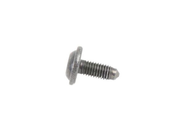 07147124309 - BMW E81 Screw Torx with Original Necklace 07147124309