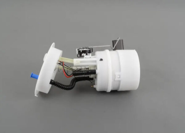 16119810569 - MINI COUNTRYMAN R60 Fuel Pump with Filter 16119810569 NEW REAL