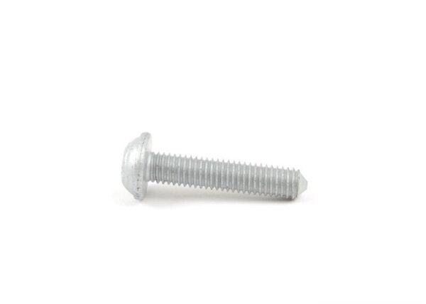 17117596108 - BMW F20 Original Cylinder Head Screw 17117596108