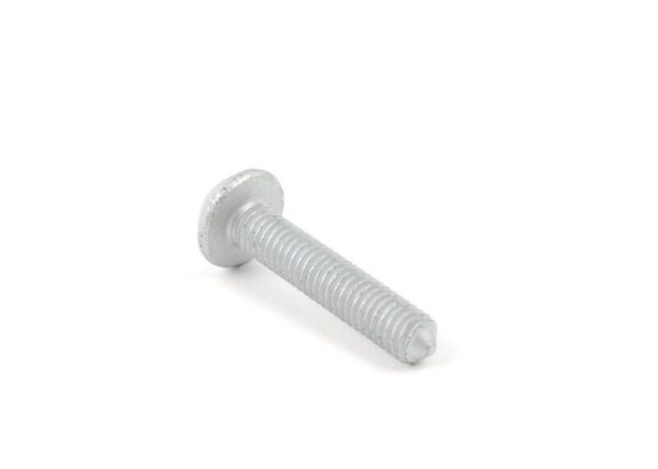 17117596108 - BMW F20 Original Cylinder Head Screw 17117596108