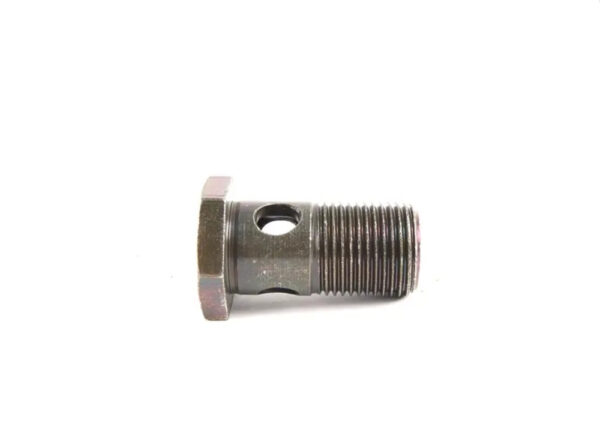 17221723804 - BMW 5 E39 transmission hollow screw 17221723804 1723804 NEW ORIGINAL