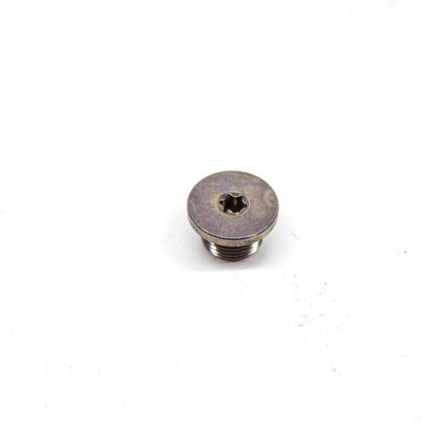 24111423986 - BMW 3 E46 Transmission Inner Torx Screw Plug 24111423986 NEW GENUINE