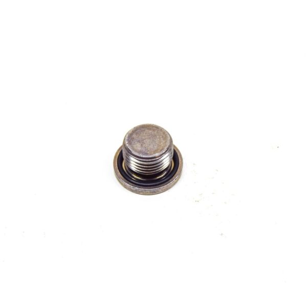 24111423986 - BMW 3 E46 Transmission Inner Torx Screw Plug 24111423986 NEW GENUINE