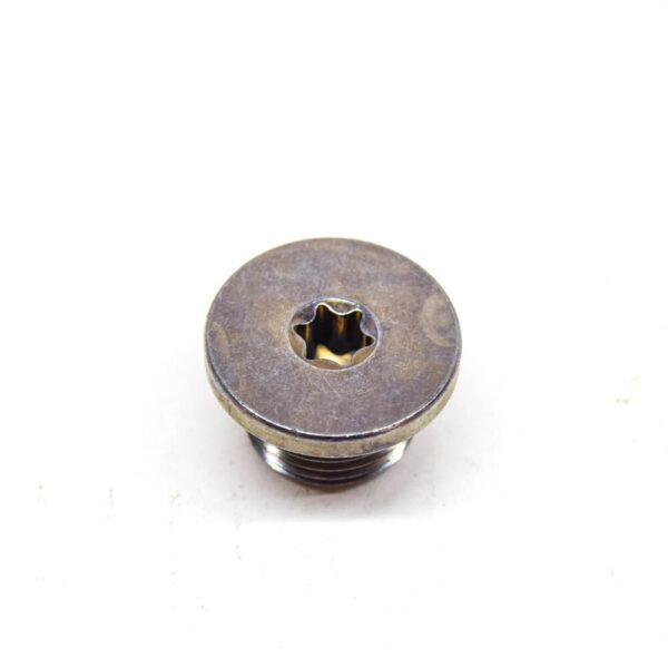 24111423986 - BMW 3 E46 Transmission Inner Torx Screw Plug 24111423986 NEW GENUINE