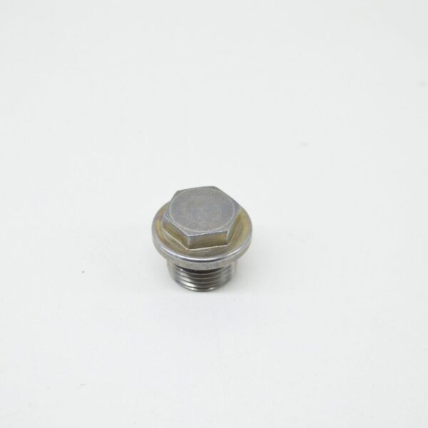 24117507787 - BMW E46 E53 E83 Sedan SUV Outer Hexagon Screw Plug 7507787 24117507787 NEW
