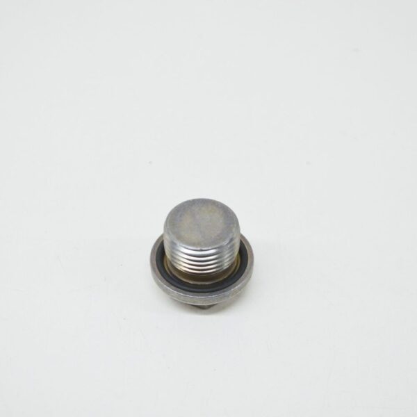24117507787 - BMW E46 E53 E83 Sedan SUV Outer Hexagon Screw Plug 7507787 24117507787 NEW