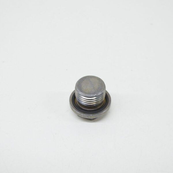24117507787 - BMW E46 E53 E83 Sedan SUV Outer Hexagon Screw Plug 7507787 24117507787 NEW