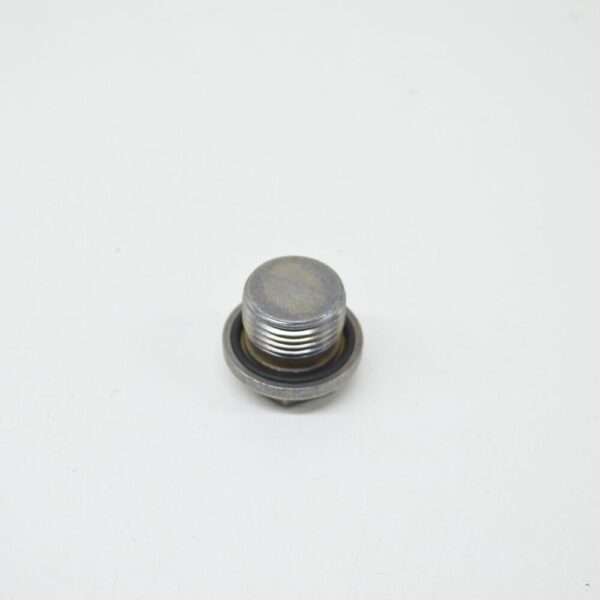 24117507787 - BMW E46 E53 E83 Sedan SUV Outer Hexagon Screw Plug 7507787 24117507787 NEW