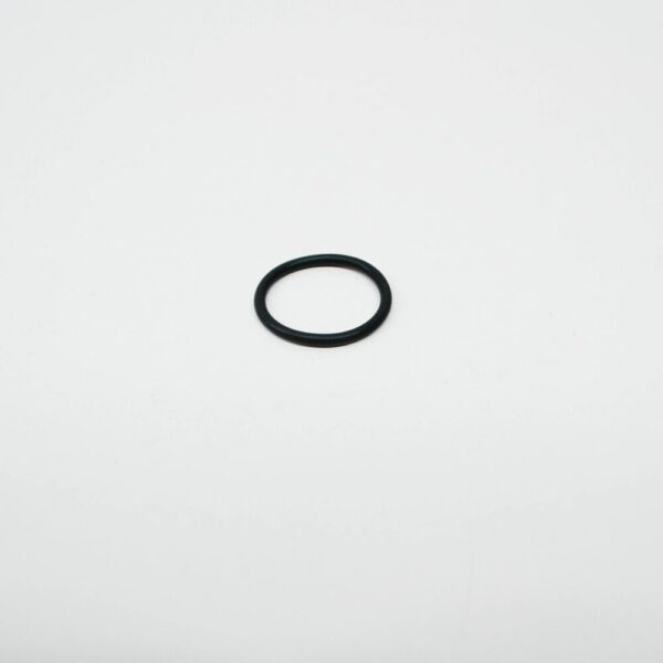 33111210739 - OEM BMW O RING FOR SPEEDOMETER IMPULSE TRANSMITTER 33111210739 GENUINE NEW