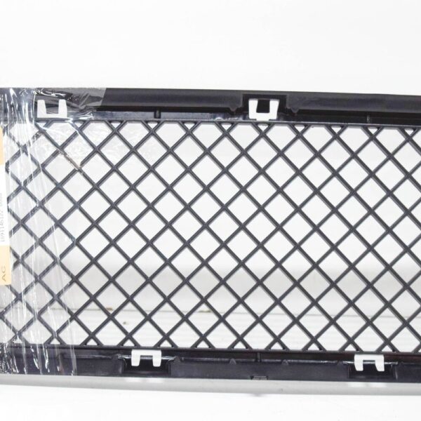 51117896586 - BMW 5 E60 M Sport Front Lower Bumper Grille 51117896586 NEW GENUINE