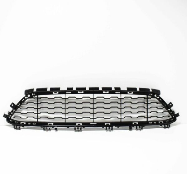 51118060284 - OEM BMW 1 F20 FRONT M SPORT BUMPER CENTER LOWER GRILLE 51118060284 GENUINE