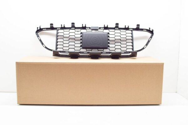 51118068135 - BMW 3 F30 Front Bumper Lower Centre Grill 51118068135 NEW