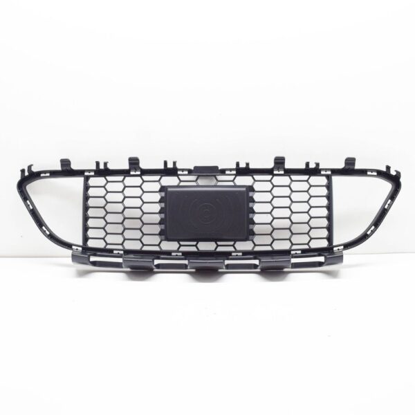 51118068135 - BMW 3 F30 Front Bumper Lower Centre Grill 51118068135 NEW