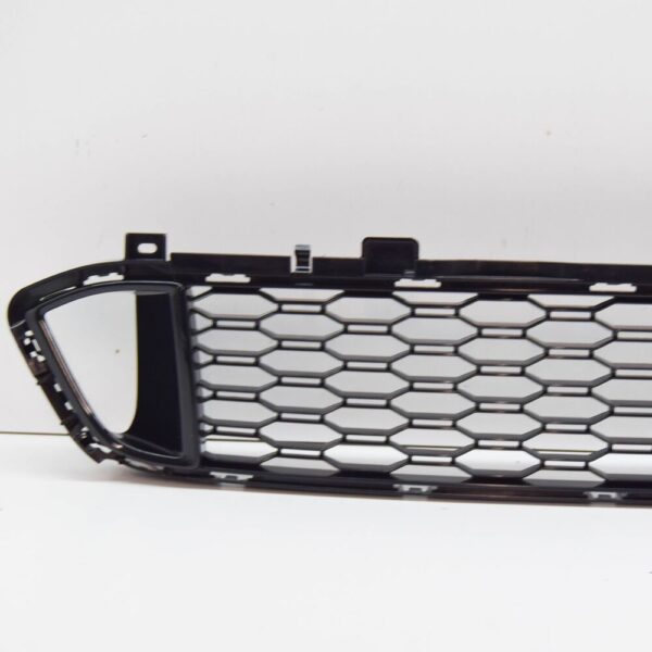 51118074255 - BMW 6 Gran Turismo G32 Front Bumper Center Lower Grille 51118074255 NEW GENUINE