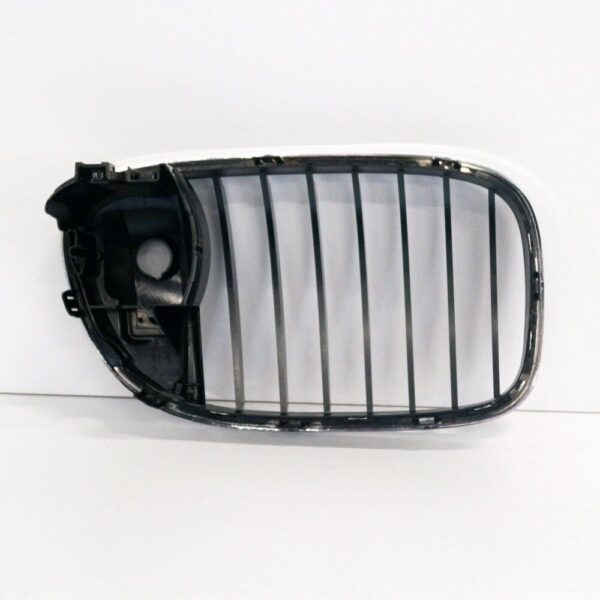 51137295299 - BMW 7 F01 new original front left grill 7295299 51137295299 2017