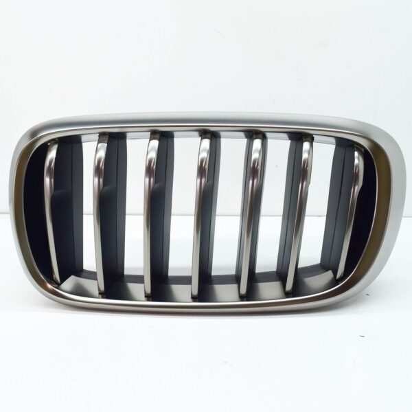51137349387 - NEW BMW X6 F16 RADIATOR LEFT GRILLE 51137349387 7349387 2016