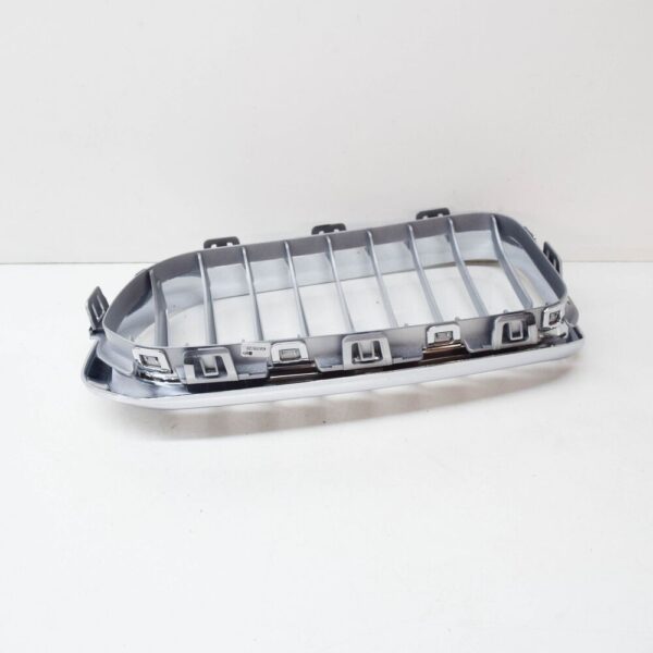 51137371688 - BMW 1 F20 Radiator Right Grille 51137371688 7371688 2015 New Genuine