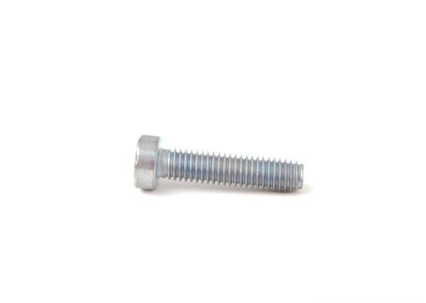 51247217793 - BMW E39 Original Torx Bolt 51247217793