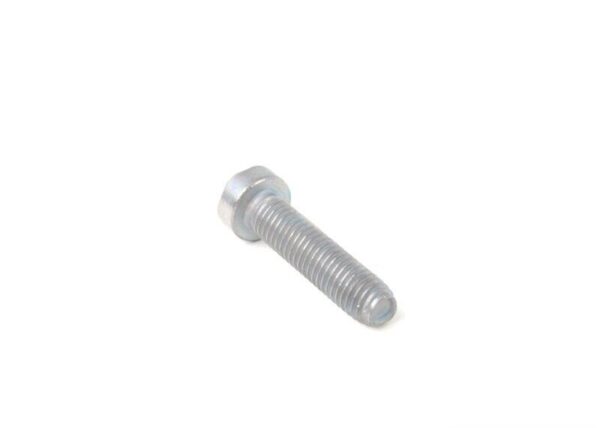 51247217793 - BMW E39 Original Torx Bolt 51247217793