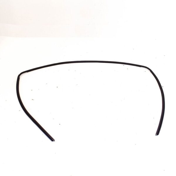 51318196162 - BMW 3 E46 front upper windshield gasket strip 51318196162, new