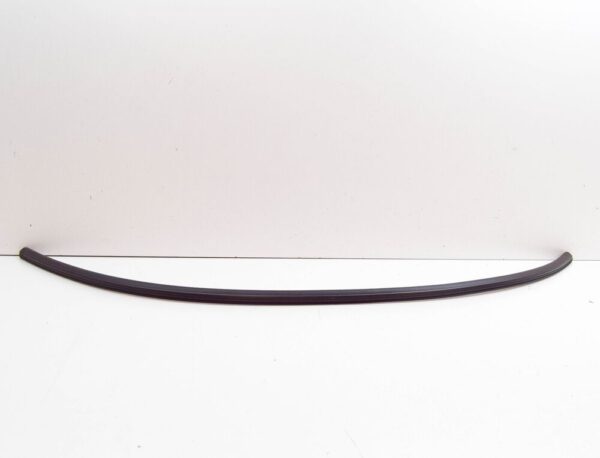 51718215919 - BMW 3 E46 Rear Engine Hood Sealing Gasket 51718215919 8215919 NEW GENUINE