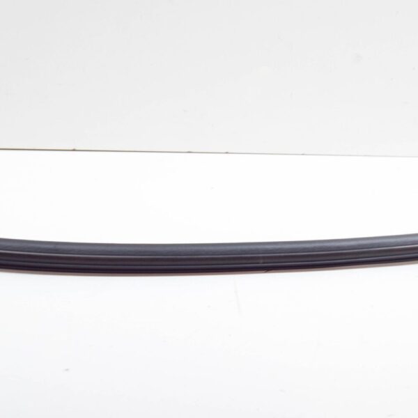 51718215919 - BMW 3 E46 Rear Engine Hood Sealing Gasket 51718215919 8215919 NEW GENUINE