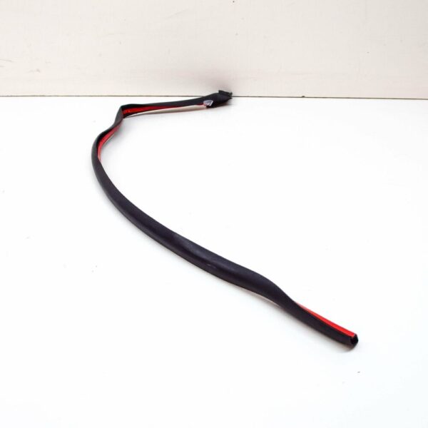 51767275324 - NEW BMW 6 GRAN COUPE F06 REAR DOOR RIGHT SEALING 51767275324 ORIGINAL