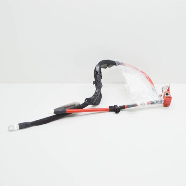 61125A69273 - NEW BMW 5 G30 POSITIVE BATTERY CABLE 5A69273 61125A69273 ORIGINAL