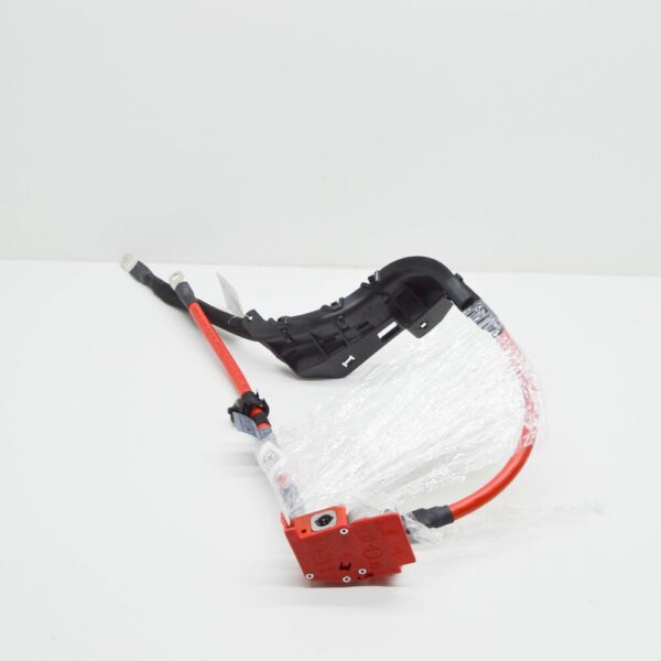 61125A69273 - NEW BMW 5 G30 POSITIVE BATTERY CABLE 5A69273 61125A69273 ORIGINAL