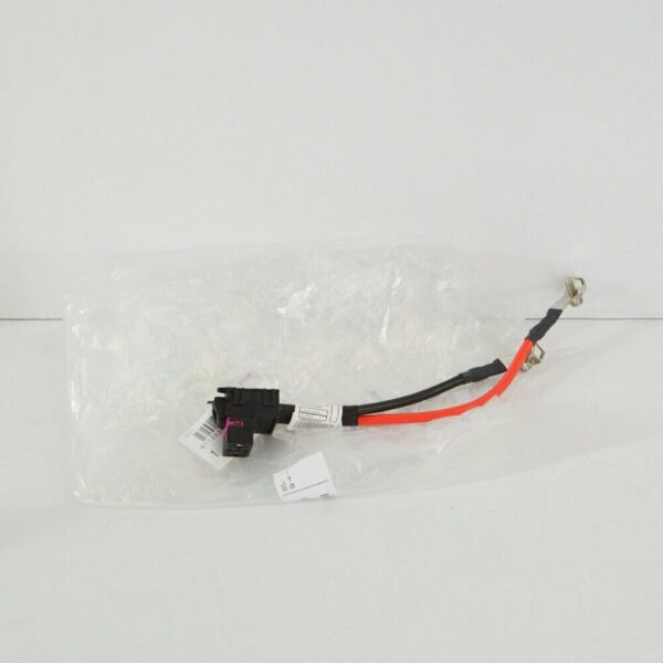 61129366323 - NEW OEM BMW 5 G30 BATTERY KILL SWITCH WIRING HARNESS 61129366323 2016 GENUINE