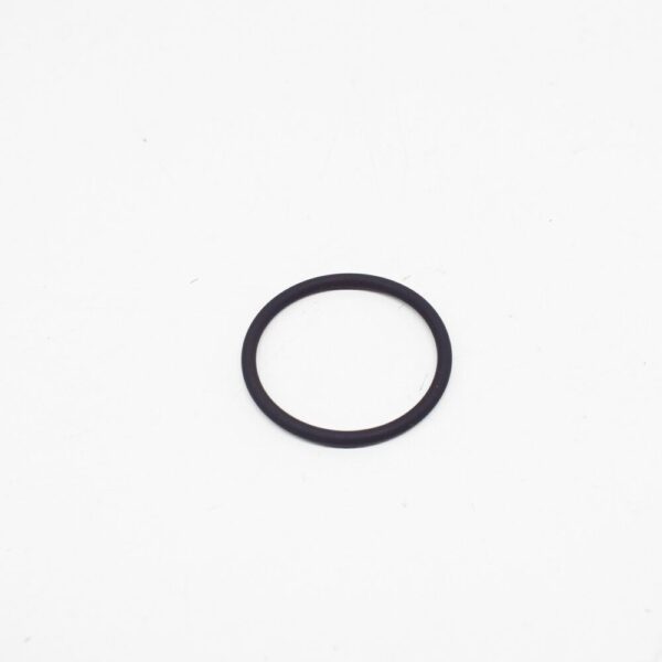 A0229970748 - New MERCEDES-BENZ S W140 Fuel Tank Level Sensor Seal O-Ring A0229970748