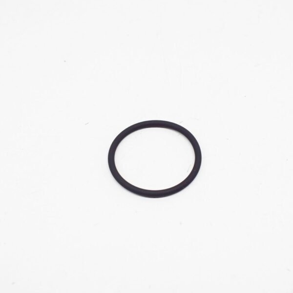 A0229970748 - New MERCEDES-BENZ S W140 Fuel Tank Level Sensor Seal O-Ring A0229970748