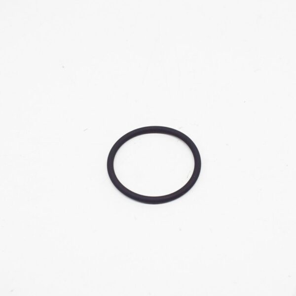 A0229970748 - New MERCEDES-BENZ S W140 Fuel Tank Level Sensor Seal O-Ring A0229970748