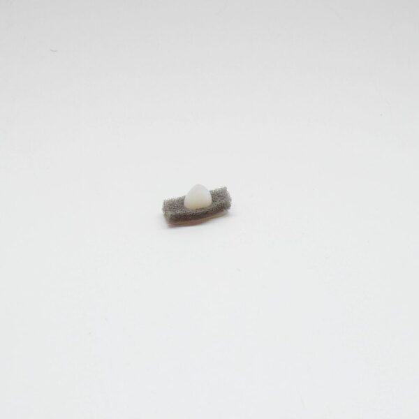 A1266900018 - MERCEDES-BENZ CLA C118 TRIM STRIP MOUNT DOWEL A1266900018 NEW GENUINE