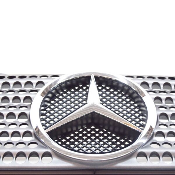 A1708800485 - Mercedes-Benz SLK R170 Front Radiator Grille A1708800485 New Genuine