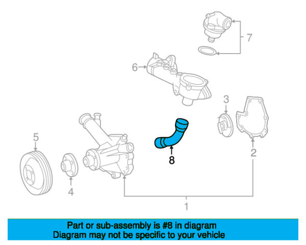 A2025014382 - Mercedes-Benz C-Class W202 Lower Radiator Coolant Hose A2025014382