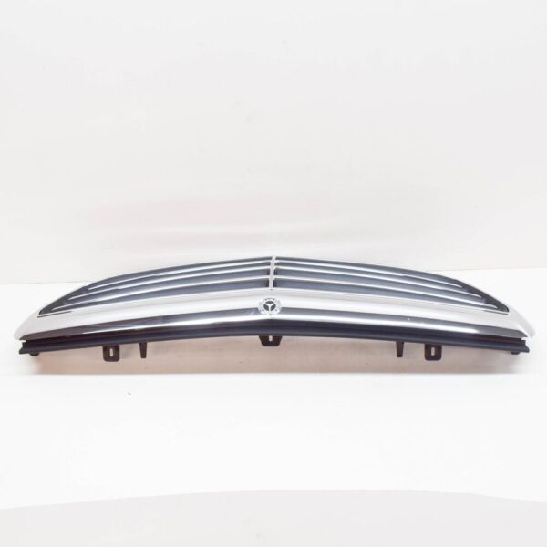 A2138808602 - MERCEDES-BENZ E W213 Radiator Grille A2138808602 NEW GENUINE