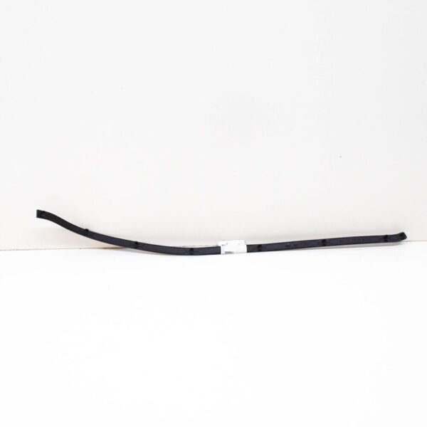 A2197370135 - Mercedes-Benz CLS C219 AMG rear left door strip A2197370135 NEW GENUINE
