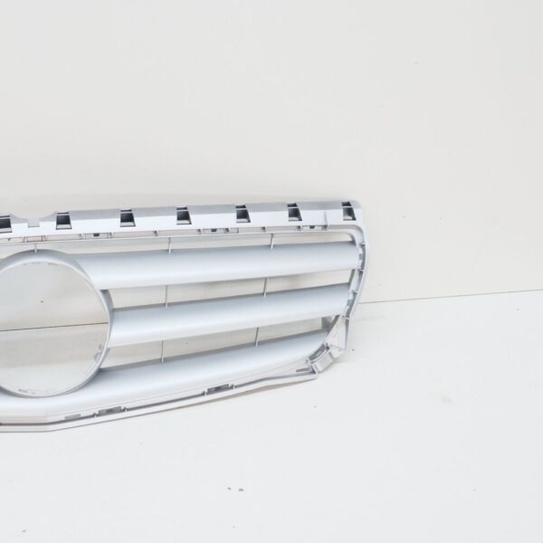 A24688010839982 - Mercedes-Benz B W246 Radiator Grille Front A24688010839982 NEW GENUINE