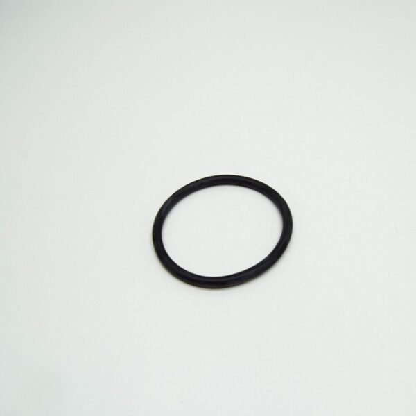 A6069970645 - NEW MB S W140 INTAKE LINE TO INTAKE MANIFOLD SEALING RING A6069970645 ORIGINAL
