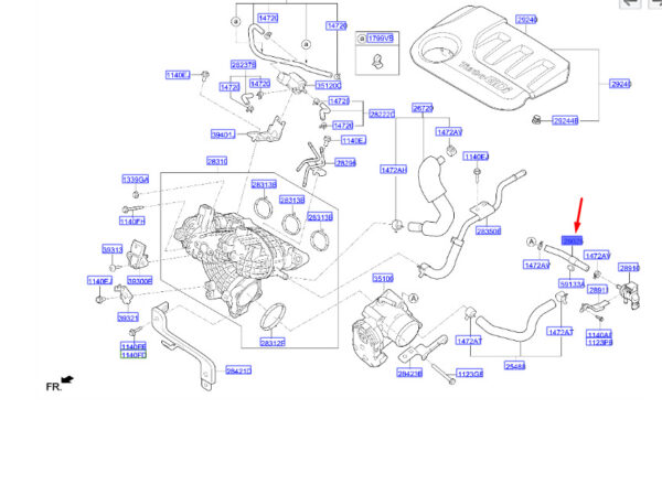 2902104170 - HYUNDAI KONA MK1 Vapor Hose 2902104170 ORIGINAL