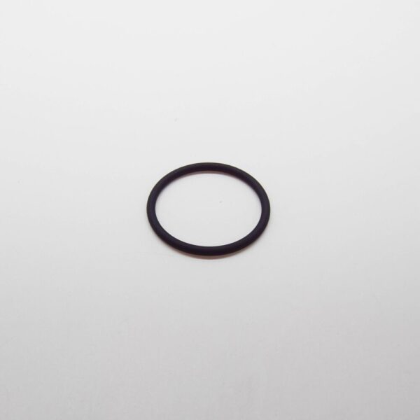 94810670700 - Porsche Cayenne 92A Engine Thermostat Coolant Ring 94810670700 NEW GENUINE