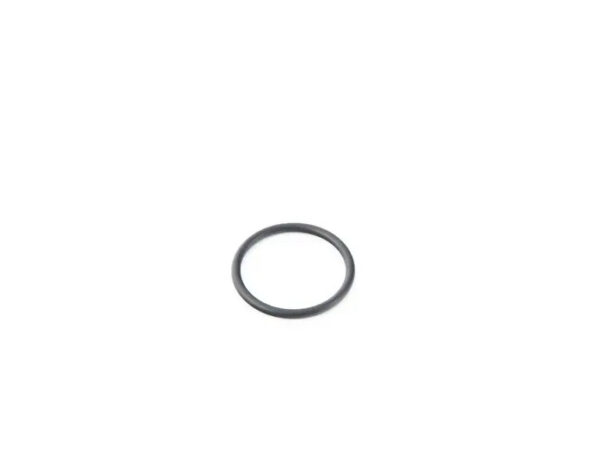 WHT002543 - New Porsche Cayenne 92A Coolant Pipe O-Ring WHT002543 Genuine